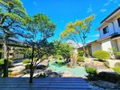 夏の中庭2
