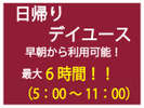 【最大6時間利用可能♪】早朝5:00チェックイン&チェックアウト11:00まで!★日帰りデイユース★