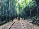 日本一美しい廃線跡と呼ばれる、旧倉吉線廃線跡までお車で約60分です。