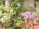 【晴観荘★幸運のパワースポット★水天宮の名水】敷地内から湧出する天然湧水 大地の恵みパワーをGET♪