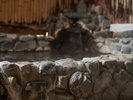 湯河原のゆったりとした時を感じながら、特別な休日をお過ごしください。