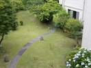 *【お庭】四季を感じられる中庭で散策をお楽しみください