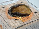 【追加料理】蝦夷鮑のおどり焼きは磯の風味と踊るような食感が醍醐味。 1個+3,000円(税込)