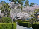 松坂城跡は石垣とのコントラストが美しく、SNS映えする景色が広がっています。