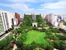 天神中央公園写真提供:福岡市