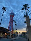 博多ポートタワー・ベイサイドプレイス博多(写真提供:福岡市)