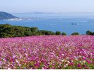 能古島・アイランドパーク(秋)(提供:福岡市)