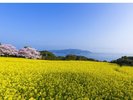 能古島・アイランドパーク(春)(提供:福岡市)