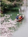 柳川川下りA※写真提供:福岡県観光連盟