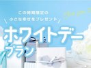 ホワイトデープラン