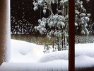 雪景色のべにや