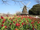 船橋アンデルセン公園:童話の世界が広がる、子どもの楽園。