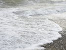 周辺景色(海):幕張の海辺でリラックスできる時間。
