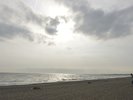 周辺景色(海):海浜幕張の美しい海と空の調和。