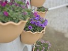 周辺景色:季節の花々が美しい幕張の風景。