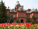 【北海道道庁旧本庁舎】「赤れんが」の愛称でお馴染みの観光名所