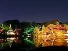 【周辺観光】六義園 紅葉の季節にはライトアップも行われます