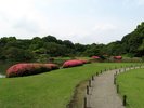 【周辺観光】六義園 都会の真ん中で広大な日本庭園を体験いただけます