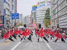 「東京よさこい」は池袋周辺で毎年10月に開催される踊りの祭典。