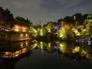 「目白庭園」は池を囲むように配置された木々が美しい庭園。秋の紅葉がおすすめ