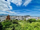 道後公園から見た街並み