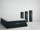 日本製NELLベッド