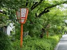 四条大橋