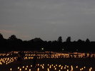 奈良燈花会:毎夏、奈良公園周辺にて開催。