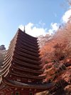 談山神社:ホテルより車で約20分。バスでスムーズにいけば約40分