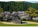 明日香村石舞台古墳:ホテルより車で約20分。