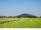 藤原宮跡 車で約20分