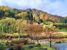 龍雲荘周辺の山々の紅葉