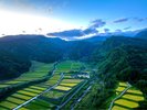 田園風景
