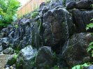 お食事処楽山