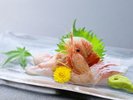 日本海の海の幸