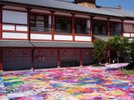 みんなの道後温泉 活性化プロジェクト-写真家・映画監督の蜷川実花さんの花の写真約230点を設置