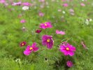 2025年11月撮影