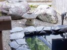 和龍