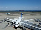 【観光画像】羽田空港