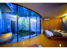 ●杉苔● 室内と中庭