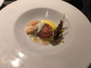 五感で感じる料理長厳選食材の和モダンフレンチコース(一例)