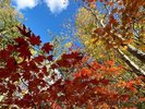 10月中旬の美しすぎる自然美♪