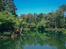 【兼六園】車で50分