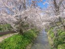 【石川県九谷焼美術館】車で10分