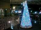 【観光・冬】アミュプラザ広場のクリスマスツリー