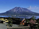 鹿児島の観光スポットといえば仙厳園!そこから望む桜島、絶景!!