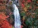 ◆癒しの空間ならコチラがおすすめ。秋保大滝!!紅葉の時期は特にいいですよ。