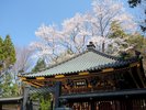 仙台の観光名所
