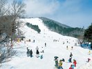 仙台の観光名所