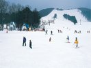 仙台の観光名所